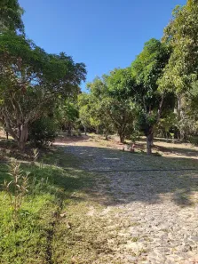 Fazenda / Sítio / Chácara com 5 Quartos à venda, 33000m² no Pinhões, Santa Luzia