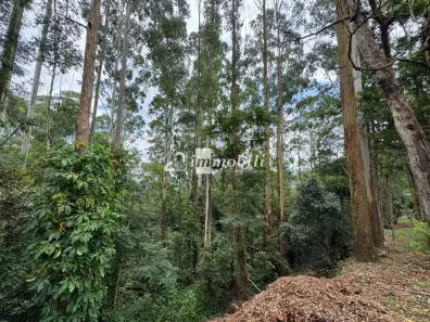 Terreno / Lote / Condomínio à venda, 3688m² no Moinho Velho, Embu das Artes
