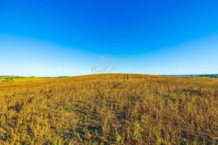 Fazenda / Sítio / Chácara com 1 Quarto à venda, 456017m² no Centro, Ponta Grossa