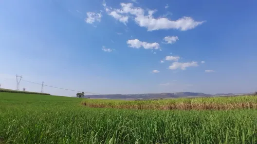 Terreno / Lote / Condomínio à venda, 5000m² no , Cravinhos