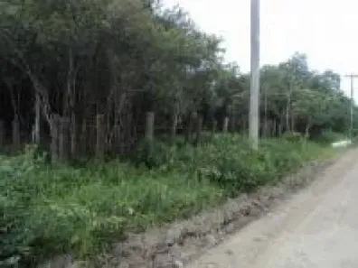 Fazenda / Sítio / Chácara à venda, 14000m² no Gaivota, Itanhaém