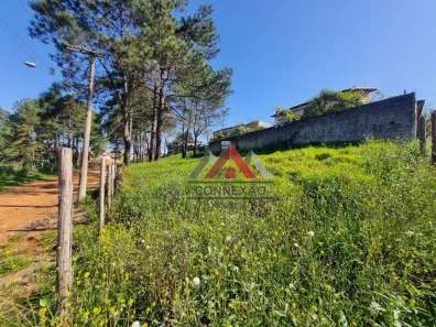 Terreno / Lote / Condomínio à venda, 216m² no Cidade Edson, Suzano