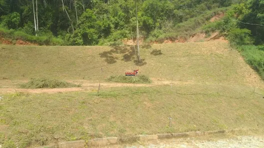 Fazenda / Sítio / Chácara com 1 Quarto à venda, 5000m² no Área Rural de Viçosa, Viçosa
