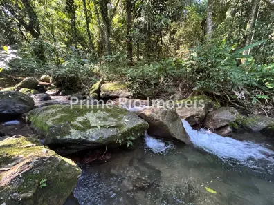 Fazenda / Sítio / Chácara com 3 Quartos à venda, 145200m² no Xerém, Duque de Caxias