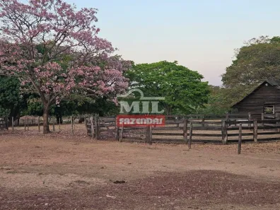 Fazenda / Sítio / Chácara à venda, 500m² no , Rio Sono