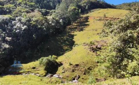 Terreno / Lote / Condomínio à venda, 20004m² no Centro, São Pedro de Alcântara