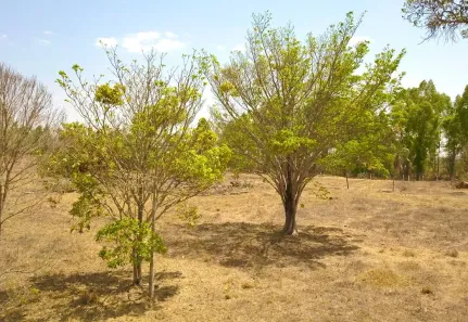 Terreno / Lote / Condomínio à venda, 27500m² no Jardim Barcelona, Bela Vista de Goiás