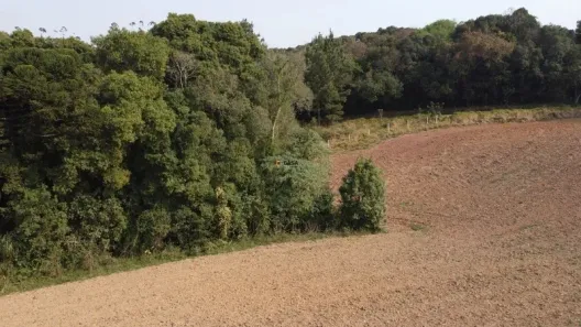 Fazenda / Sítio / Chácara com 1 Quarto à venda, 12312m² no Botiatuva, Campo Largo