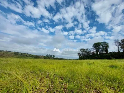Fazenda / Sítio / Chácara com 1 Quarto à venda, 101156m² no Área Rural de Olímpia, Olímpia