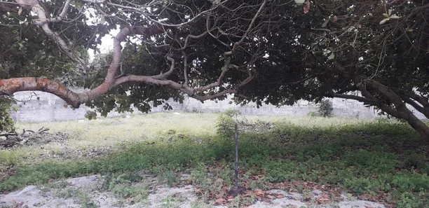 Terreno / Lote / Condomínio à venda, 972m² no Monte Gordo (Monte Gordo), Camaçari