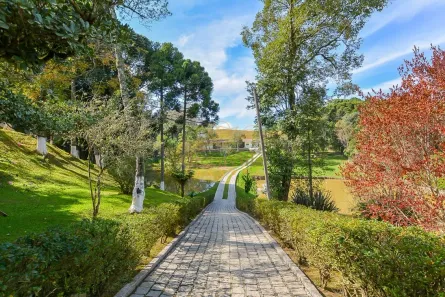 Fazenda / Sítio / Chácara com 4 Quartos à venda, 145000m² no Jardim Florestal, Campo Largo