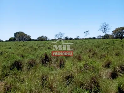 Fazenda / Sítio / Chácara à venda, 500m² no , Pium