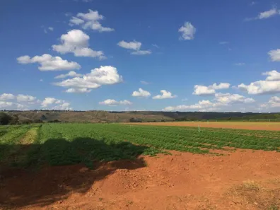 Terreno / Lote / Condomínio à venda, 19200m² no Ponte Alta Norte, Brasília