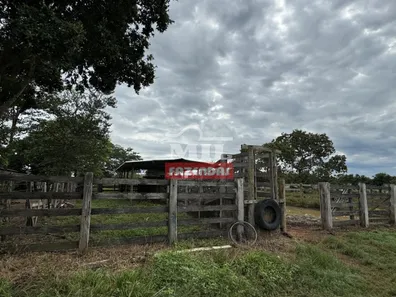Fazenda / Sítio / Chácara com 2 Quartos à venda, 500m² no Setor Central, Gurupi