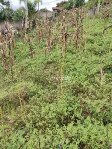 Terreno / Lote / Condomínio à venda, 953m² no Santa Teresa, Santa Branca