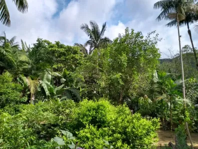 Fazenda / Sítio / Chácara com 2 Quartos à venda, 2000m² no Centro, Águas Mornas