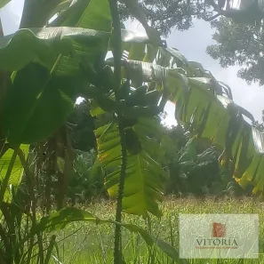 Fazenda / Sítio / Chácara à venda, 509375m² no Norte, Brasília