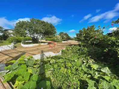Fazenda / Sítio / Chácara com 4 Quartos à venda, 580m² no Luiz Gonzaga, Caruaru