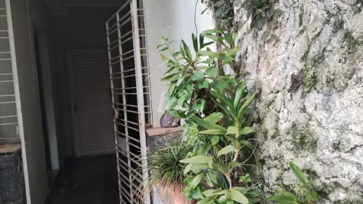 Casa de Vila com 3 Quartos à venda, 189m² no Vila Prudente, São Paulo