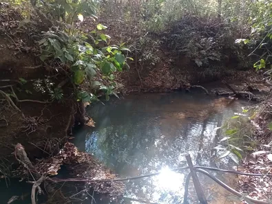 Fazenda / Sítio / Chácara à venda, 20000m² no Arapoanga, Brasília
