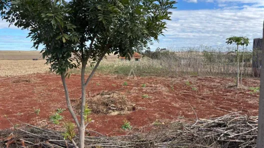 Terreno / Lote / Condomínio à venda, 300m² no Plano Piloto - Centro, Assis Chateaubriand