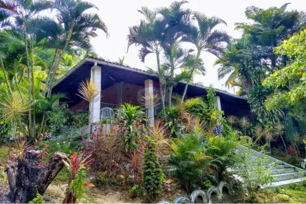 Fazenda / Sítio / Chácara com 3 Quartos à venda, 285m² no Coqueiro Seco, Coqueiro Seco