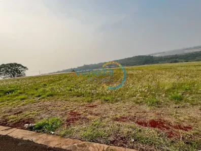 Fazenda / Sítio / Chácara à venda, 1563m² no Loteamento Terras de Canaã, Cambé