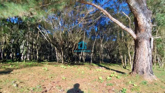 Fazenda / Sítio / Chácara à venda, 20000m² no Três Córregos, Campo Largo