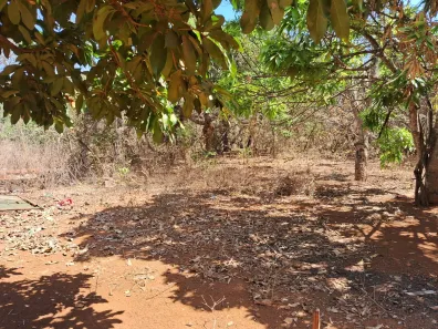 Fazenda / Sítio / Chácara com 2 Quartos à venda, 30000m² no , Brasília