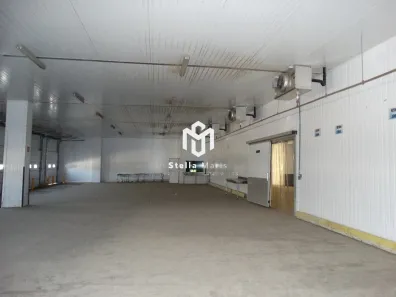 Galpão / Depósito / Armazém para alugar, 1020m² no Vila Rosina, Caieiras