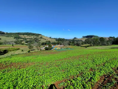 Fazenda / Sítio / Chácara com 5 Quartos à venda, 140360m² no , Guaraniaçu