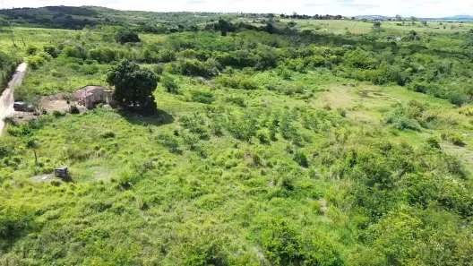Fazenda / Sítio / Chácara à venda, 30000m² no , Sairé
