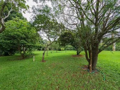 Fazenda / Sítio / Chácara com 2 Quartos à venda, 23000m² no Ponte Alta Norte, Brasília