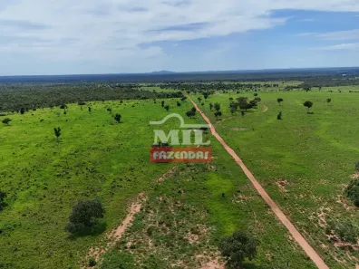 Fazenda / Sítio / Chácara à venda, 500m² no , Paranã