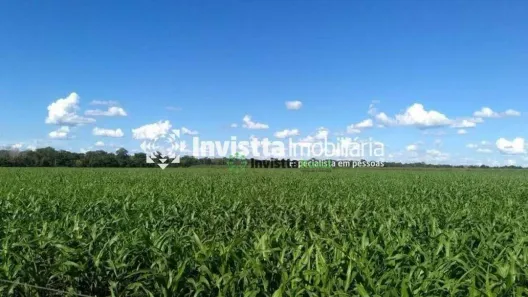 Fazenda / Sítio / Chácara à venda, 411m² no Centro, Cristalândia