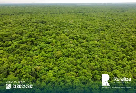 Fazenda / Sítio / Chácara à venda, 600m² no , Pium