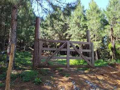Fazenda / Sítio / Chácara à venda, 508200m² no , Piedade
