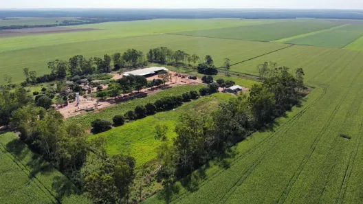 Fazenda / Sítio / Chácara à venda, 2900m² no , Pedro Afonso