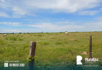 Fazenda / Sítio / Chácara à venda, 1950m² no , Paraíso do Tocantins