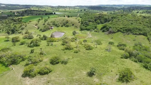 Fazenda / Sítio / Chácara com 2 Quartos à venda, 125000m² no , Sairé
