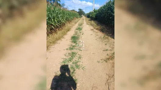 Fazenda / Sítio / Chácara com 3 Quartos à venda, 10000m² no Contenda, Contenda