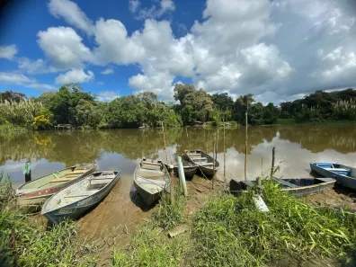 Fazenda / Sítio / Chácara com 4 Quartos à venda, 6000m² no Jardim Aguapeu, Itanhaém