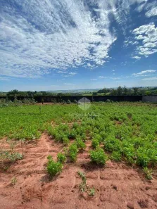 Terreno / Lote / Condomínio à venda, 1636m² no Floraí, Floraí