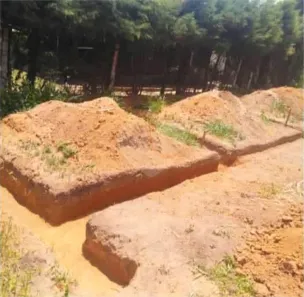 Fazenda / Sítio / Chácara à venda, 180m² no Parque dos Cafezais I, Itupeva
