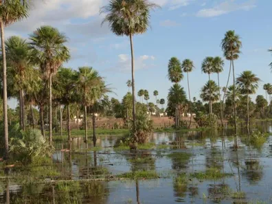 Fazenda / Sítio / Chácara com 3 Quartos à venda, 56690000m² no , Porto Murtinho