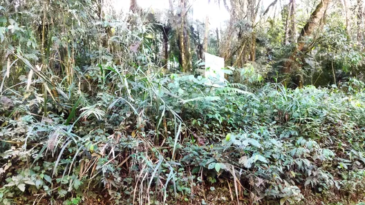 Fazenda / Sítio / Chácara com 1 Quarto à venda, 20000m² no , Campo Largo