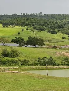Fazenda / Sítio / Chácara com 4 Quartos à venda, 580000m² no , Brejinho