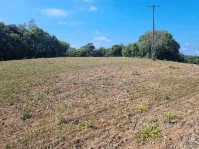 Terreno / Lote / Condomínio à venda, 60617m² no Cecilia, Campo Magro