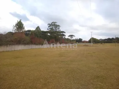 Terreno / Lote / Condomínio para alugar, 5000m² no Ipê, São José dos Pinhais
