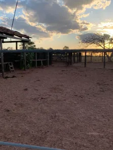 Fazenda / Sítio / Chácara com 5 Quartos à venda, 407m² no Área Rural de Gurupi, Gurupi